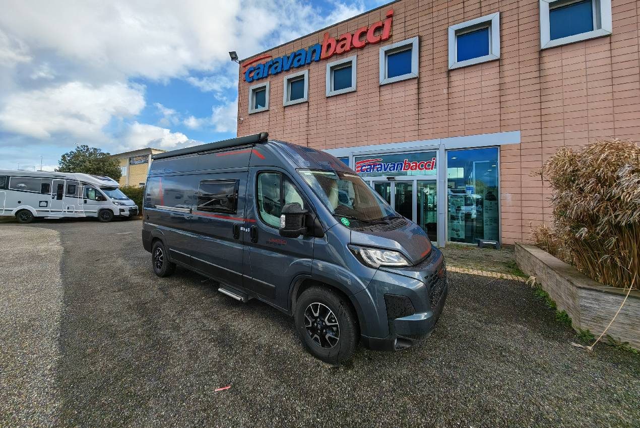 Roller Team Livingstone 6 XL Sport Limited