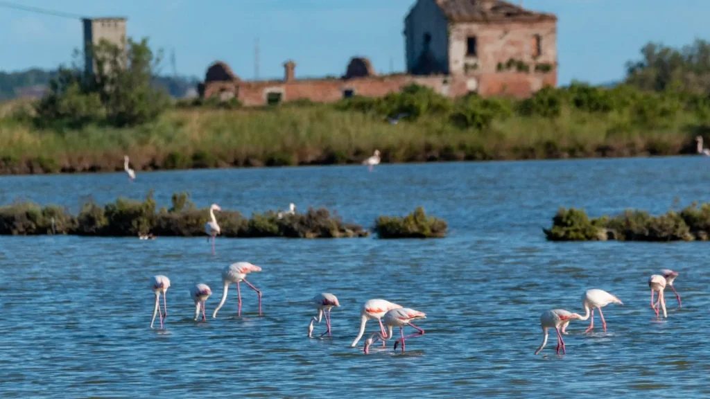 Weekend in camper nel Delta del Po
